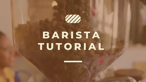 Barista 101
